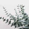 Eucalyptus Stem Decor 24 Leaves Plastic Iron Wire Artificial Fake Faux Eucalyptus Stem for Home Party Wedding Decoration