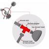 Shower  Diverter Valve 3 Way Tee Connector Shower Adapter Arm Mounted Shower  Holder Bathroom Shower Valve