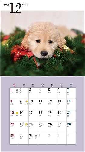2024 Calendar Cute Golden Retriever (Seibundo Shinkosha Calendar)
