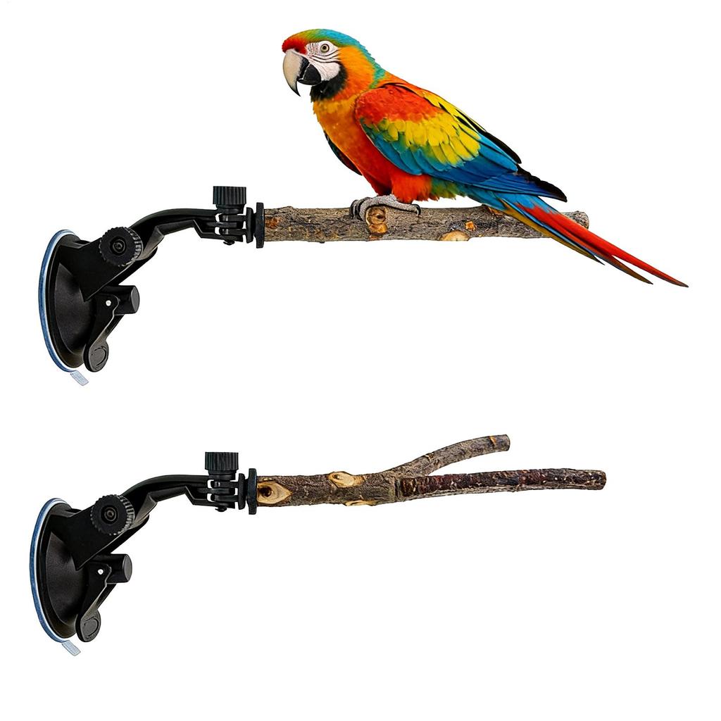 Bird Perch Wooden Suction Cup Interactive Play Stand Window Bird Stand For Bath For Parakeet Lovebird Conure Cockatiel Finch