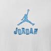 Nike Men's Jordan 23 Print Basketball T-Shirt IR6309