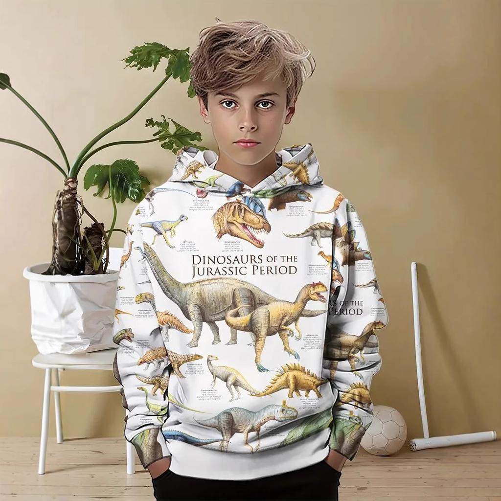 Autumn 3D Cute Animal Pattern Printed Hoodies Fashionable Casual Sports Long Sleeved Children's Boy Hooded Sweatshirts