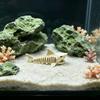 Unpainted Shark Skeleton Hideaway House 3D Printed Aquarium Underground Cave  Aquarium