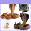 Realistic Pvc Cobra Model Snake For Home Decor With Vibrant Colors And Detailed Features