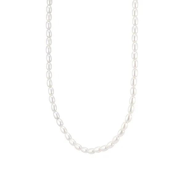 Lucia Joelle Necklace (JJJONI0BS731SR420)