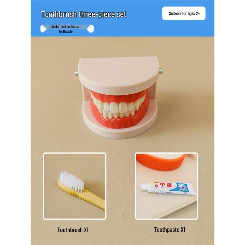 Montessori Toddler Tooth Brushing Practice Aid - Educational Model for Kindergarten