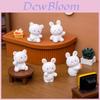 Adorable Resin Bear And Bunny Figurines Miniature Desk Car Decoration Cute Rabbit And Bear Ornaments