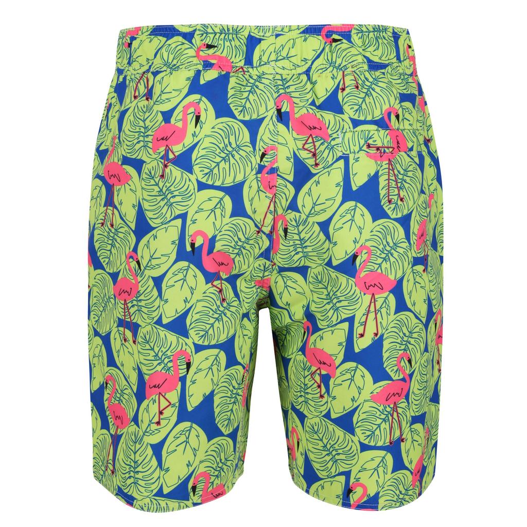 Regatta Mens Hamza Flamingo Swim Shorts