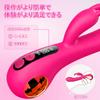 Vibrator Vibrator for Women LCD Display 9 X 9 Kinds of Violent G Spot Clitoris Double Best In and Vibe for Women Powerful Popular Squirting Love Goods