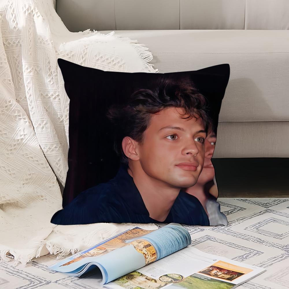 Mexican Singer L-Luis Miguel Pillow Case Office Cushions Suitable For Sofa Car Bedroom Decorative Cushion Cover