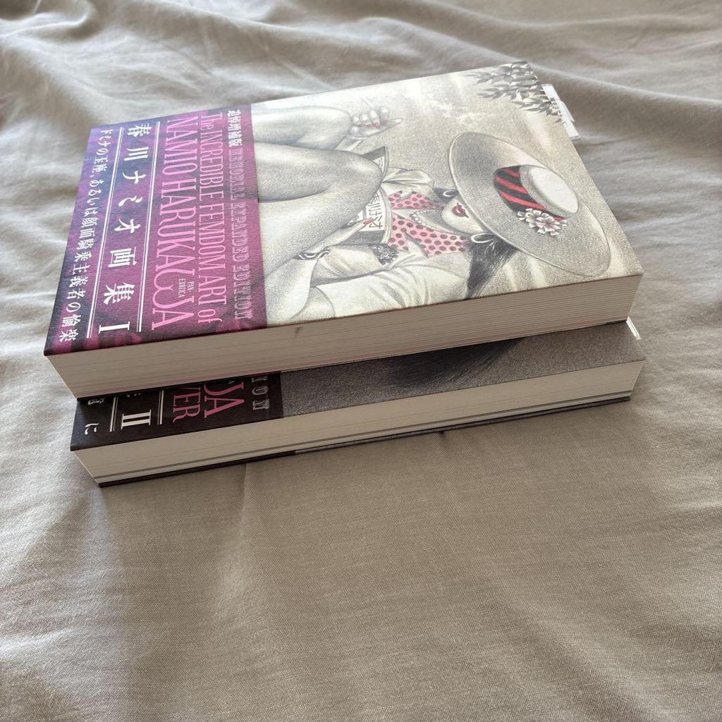 [USED] Namio Harukawa Art Books (2 volumes)