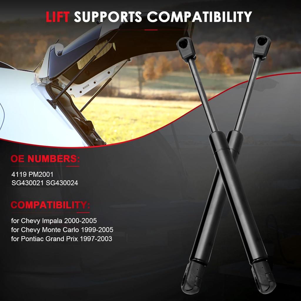 Rear Hatch Lift Supports Liftgate Struts Tailgate Shocks Trunk Gas Springs Replacement Parts Compatible with 4119 PM2001 SG430021 SG430024 for Chevy
