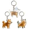 1pcs Dog Hair Key Chain Pet Hair Keychain Keepsake Storage Container Pendant Box For Wallet Purse Girls Men Women Boys