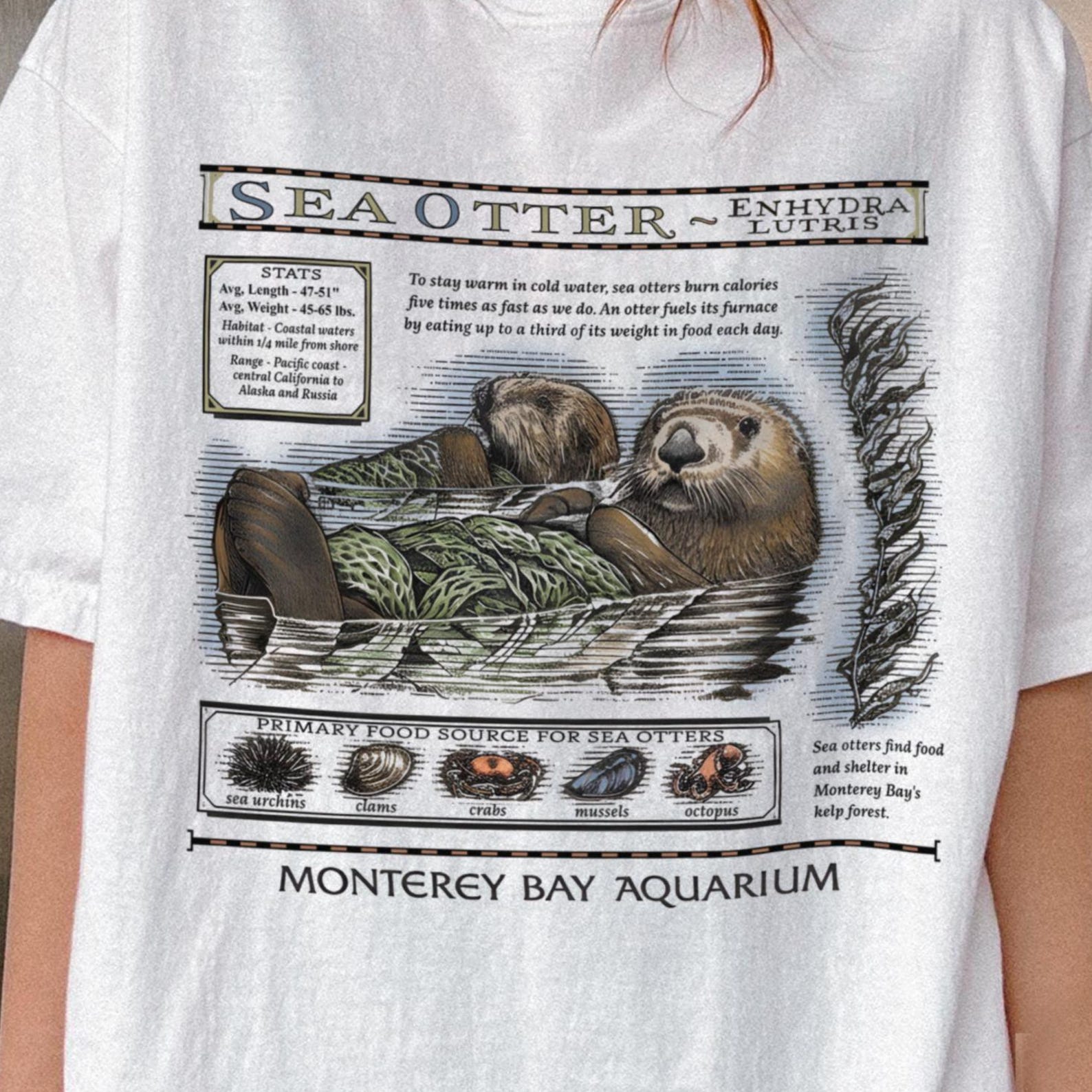 Sea Otter Shirt, Otter Shirt, Monterey Bay Otter Shirt, Vintage Otter Shirt, Coastal Aesthetic Tee, Otter Lover Gifts XL