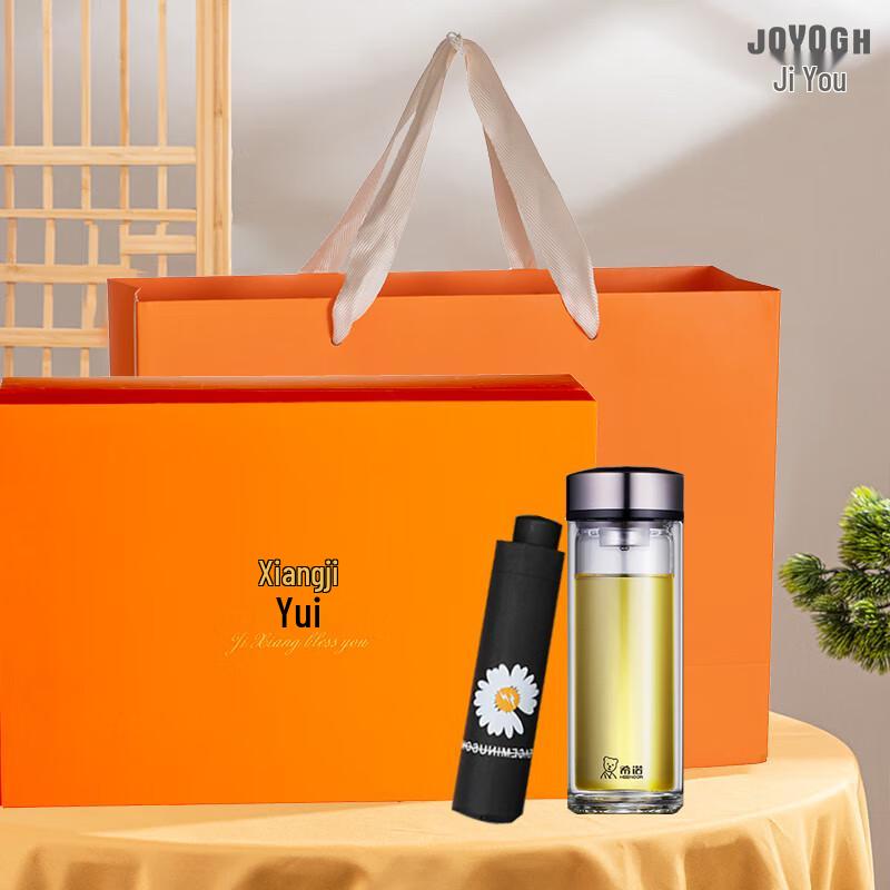 JOYOGH Double Wall Borosilicate Glass Tea Infuser Bottle Set