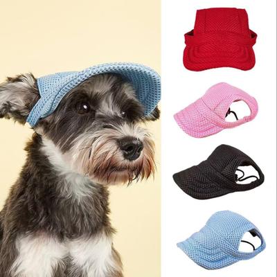 Giyim ve ayakkabı – Köpek için şapkalar
