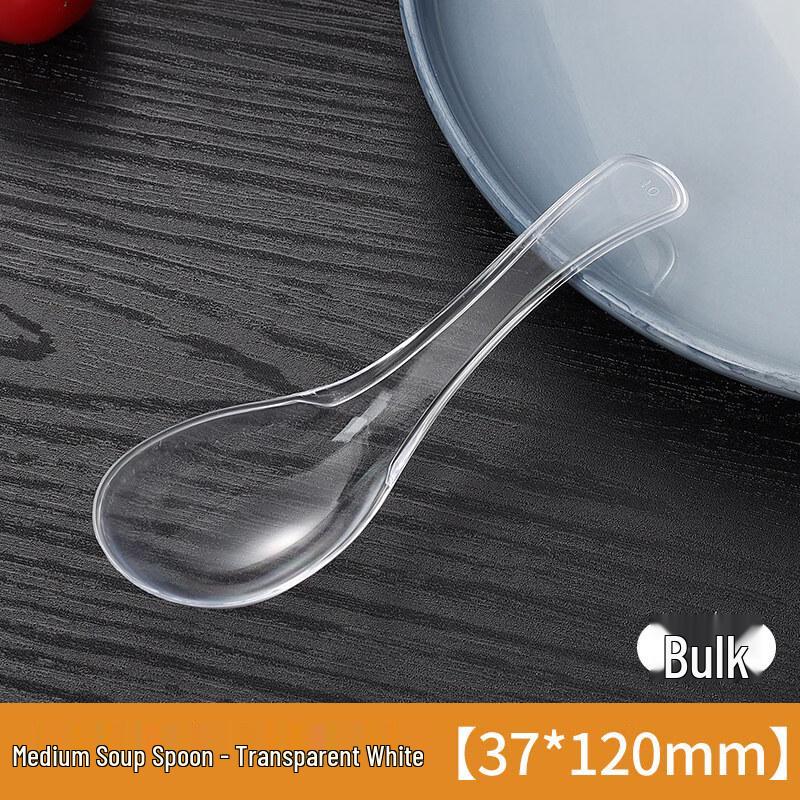 ZISIZ Disposable Plastic Spoon
