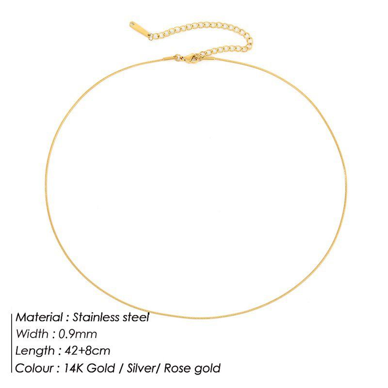Korean Minimalist Versatile Snake Bone Chain Necklace - Cold Style Stainless Steel Jewelry