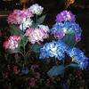 3-Head Solar Hydrangea Flower Garden Light with Colorful LEDs Waterproof Outdoor Stake Lamp