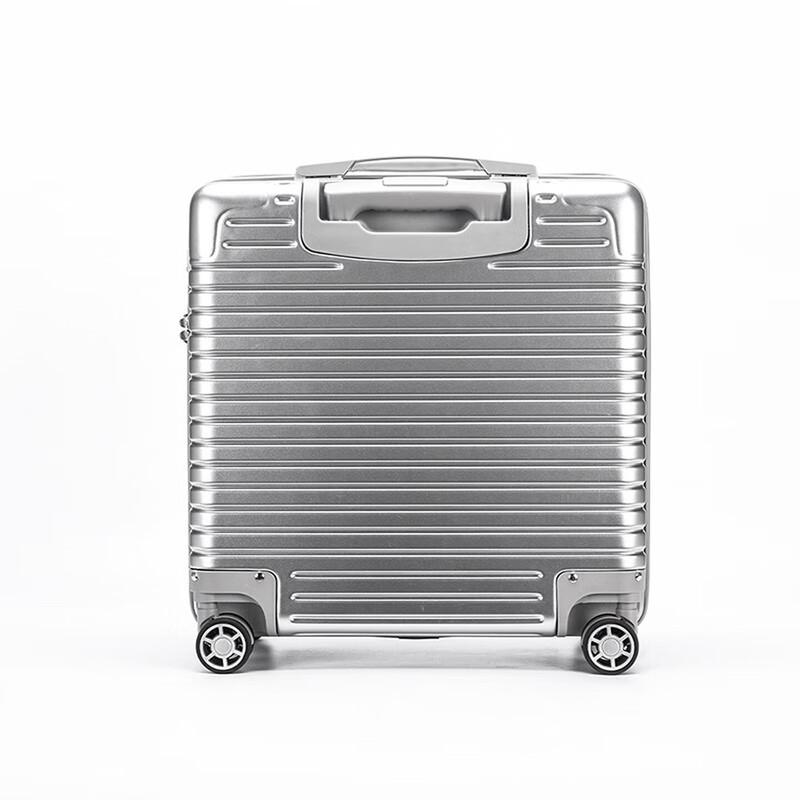 DREAMGIFT Business Travel Carry-on Spinner Luggage