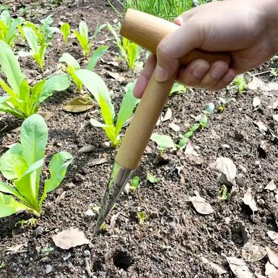 Trapiantatore Manuale Con Manico In Legno Per Semina Trapianto Piante Piantare Bulbi Scavare Attrezzo Per Fare Buchi Da Giardinaggio