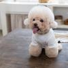 Pet Spring Jumpsuit Breathable Knitted Sweater Small Dog Teddy Pet T-shirt Puppy Clothes Dog Pajamas for Small Dogs