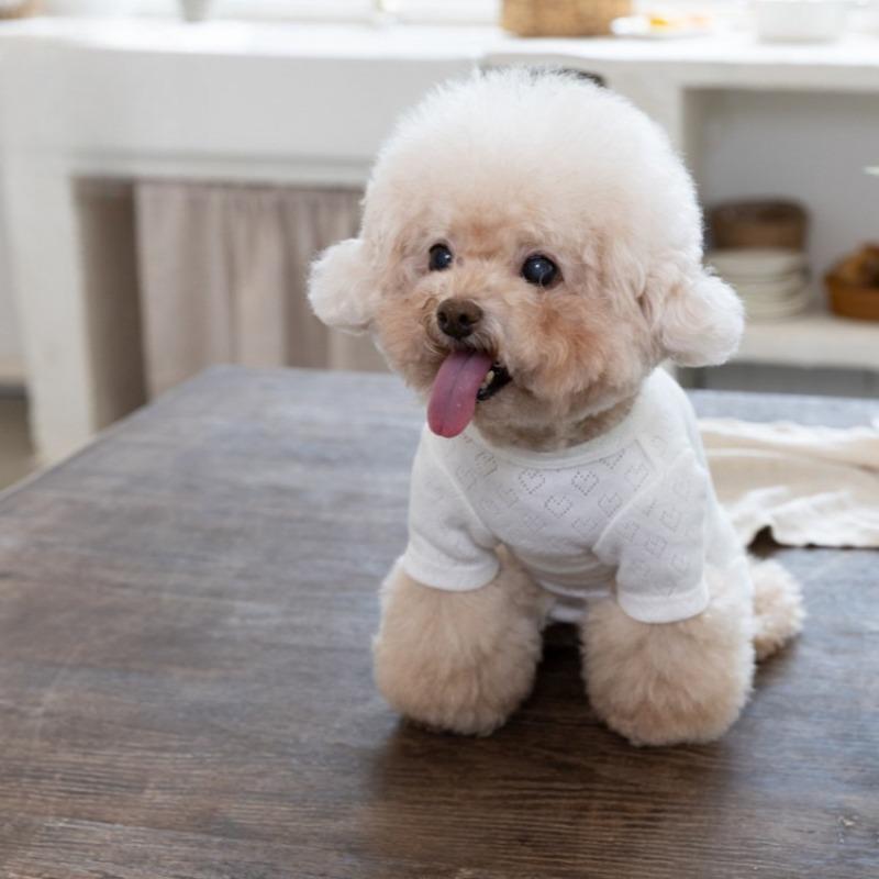 Pet Spring Jumpsuit Breathable Knitted Sweater Small Dog Teddy Pet T-shirt Puppy Clothes Dog Pajamas for Small Dogs
