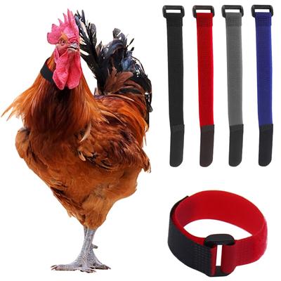 2-piece Chicken Collar  Neck Poultry Accessories Farm Poultry Noise  Hook Neck Collar