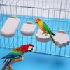Creative Ice Cream Shaped Parrot Stand Pole Matte Finish Bird Platform with Tooth & Claw Grinding Stick Pet Supplies for Parrots
