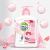 Dettol Family Healthy Antibacterial Hand Wash Duo