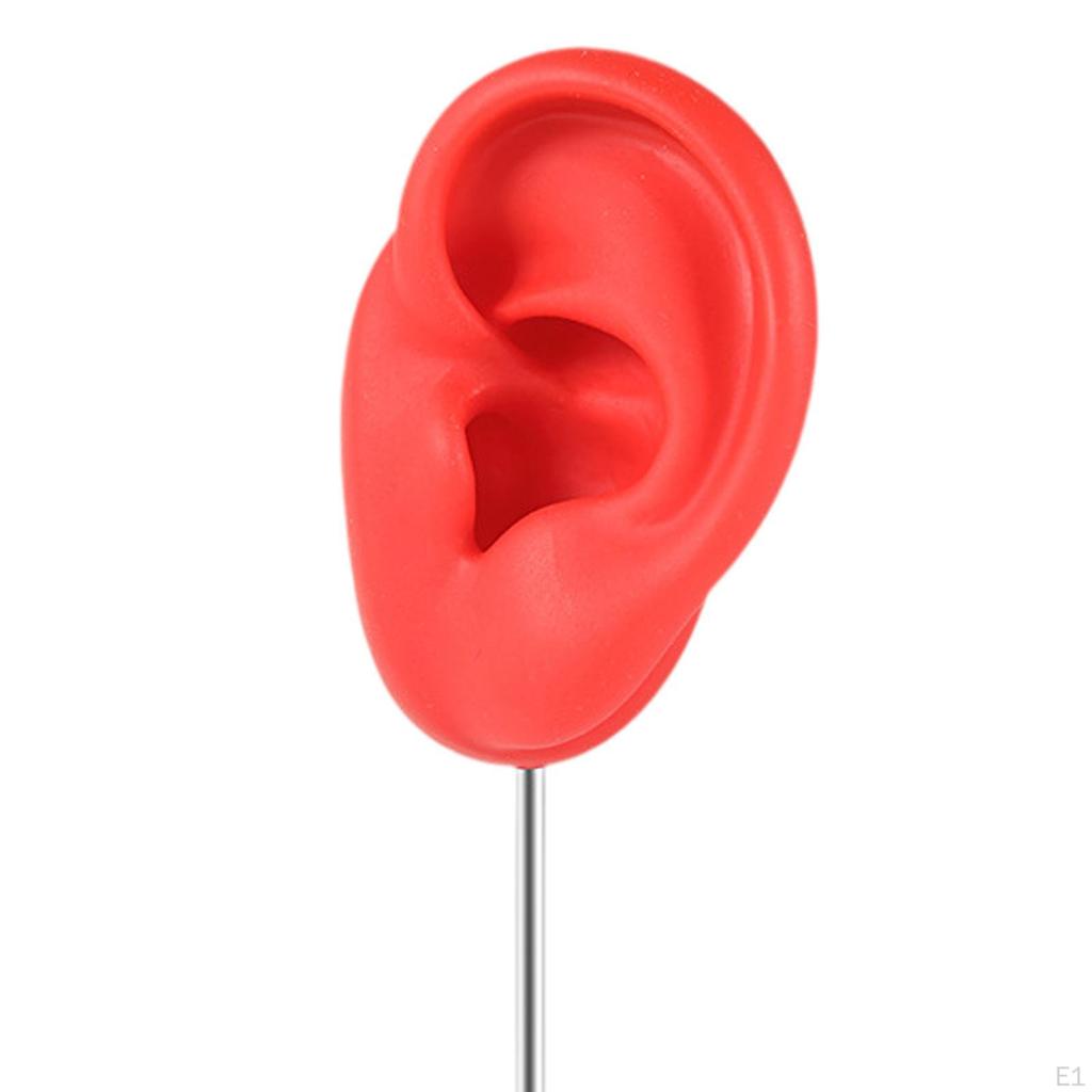 Part of The Body Silicone Ear Model, A Mannequin Earring