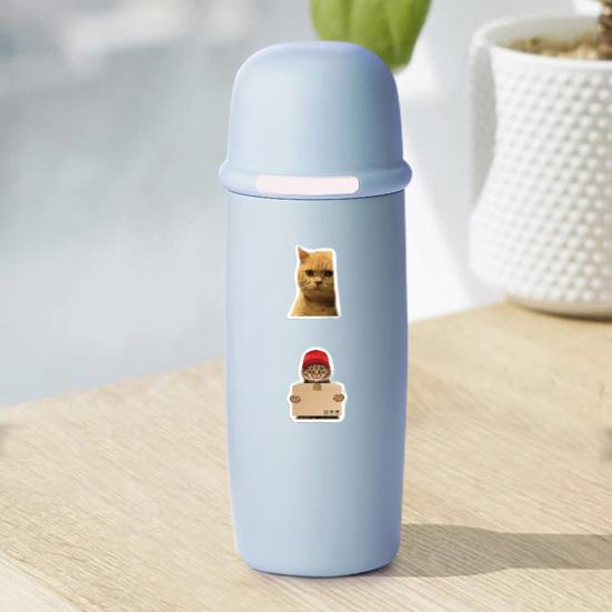 50 Stück DIY Vinyl Kunst Entzückend Umweltfreundlich Vielfältige Stile Katzenaufkleber Sammelalbum Wasserflasche Koffer Graffiti