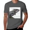 Iguana Squared Tshirt Plus Size Basic Short Sleeve Top Tshirt