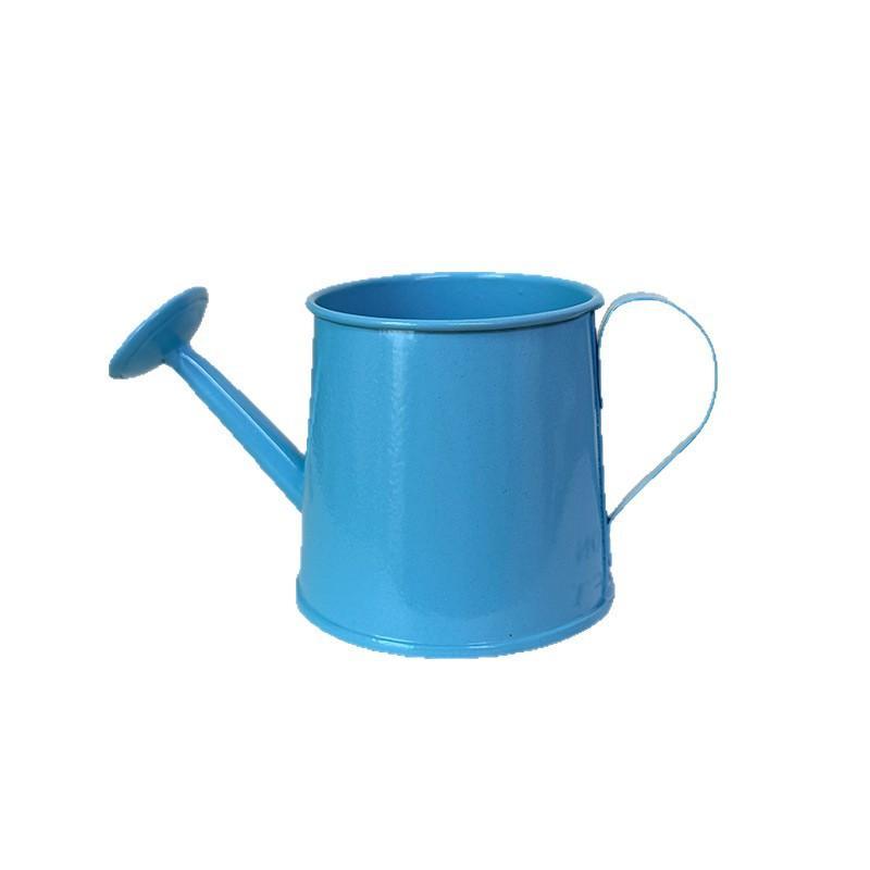 Vintage Small Metal Watering Can Mini Long Spout Pot for Indoor House Potted Flowers Home Balcony Plant Care Tool