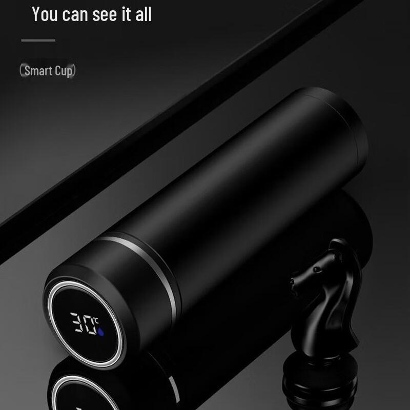 Smart Temperature Display Insulated Bottle