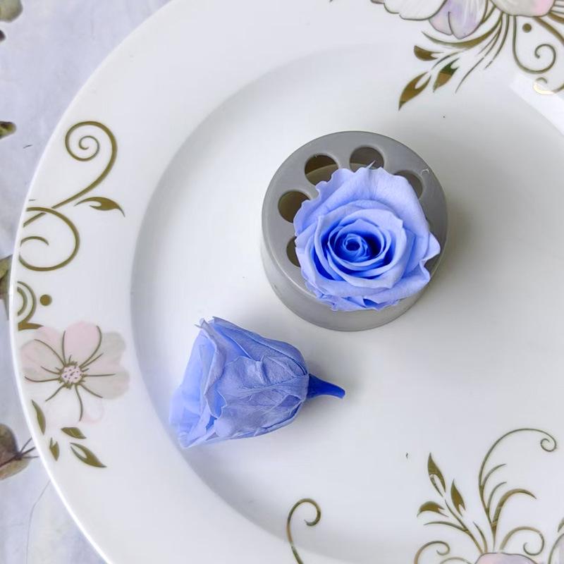 Blue Series Dried Flower DIY Kit: Hydrangea, Thousand-Layer Gold, Eucalyptus Leaf Souvenir Decoration