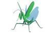 Free Research Series Yatterman Edition Giant Mantis Boyakki Plastic Model No.233 Ver.