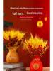 Golden Barley Ear Faux Flower Arrangement for Home Decor - Perfect for Living Room, Dining Table, Weddings & Special Occasions