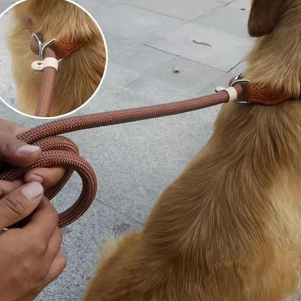 Adjustable Loop Collar Dog Leash Slip Rope  for Small Medium Large Dogs
