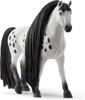 Schleich Horse Club Beauty Horse Knapstorpel (Male) 42622