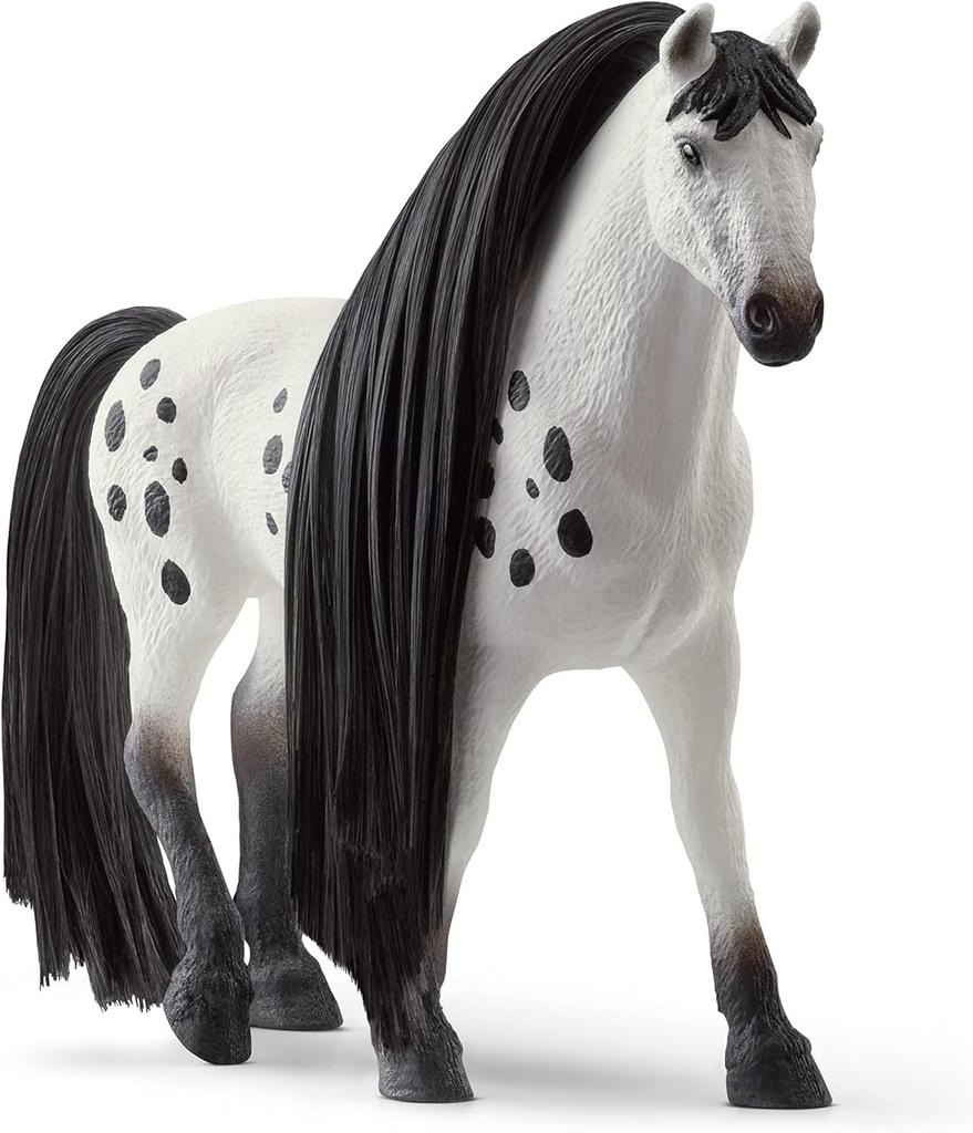 Schleich Horse Club Beauty Horse Knapstorpel (Male) 42622