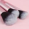 10Pcs Mini Makeup Brush Set with Storage Bag, Portable Travel Goods, Loose Powder Brush, Eyeshadow Brush, Concealer Brush Professional Makeup Brush