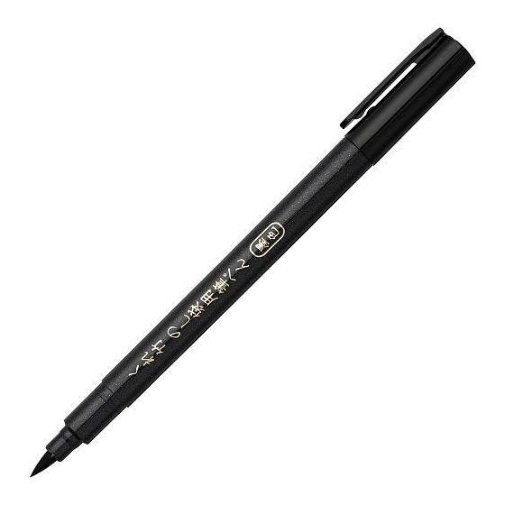 Kuretake Noshibukuro brush pen DBD161-10S ink color x 3 set