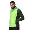 Regatta Mens Halton Baffled VII Colour Block Padded Gilet