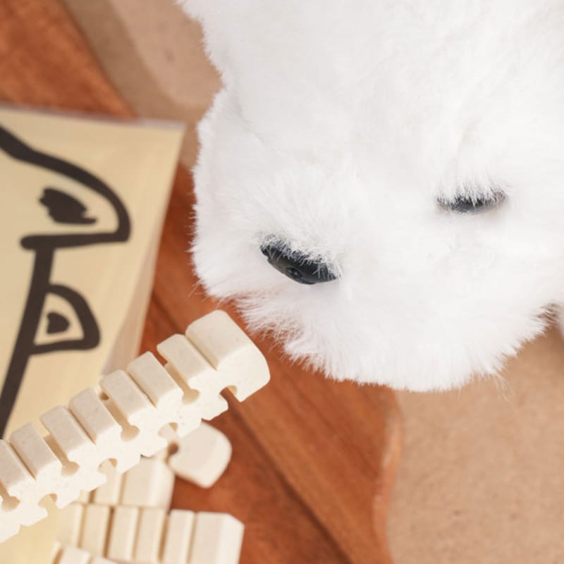 [Pet] Invet Dental Scaling 75 G Calcium