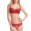 Ultra-Thin Lace Push-Up Bra & Sexy Lingerie Set for Large Breasts