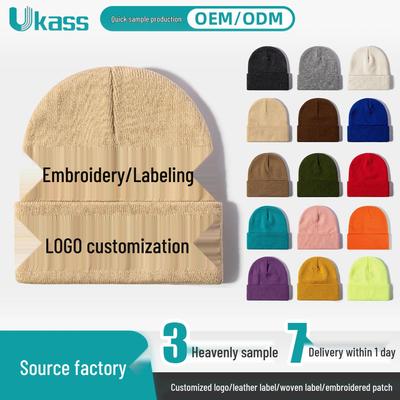 Unisex Korean-Style Embroidered Wool Beanie for Autumn/Winter – Slimming Look, Ideal for Outdoor Activities