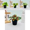 Mini Plastic Green Plant Pot With Realistic Foliage For Home Office Decor