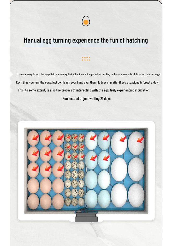 Intelligenter Automatischer Eierbrüter für Hühner, Enten und Vögel mit Temperaturregelung