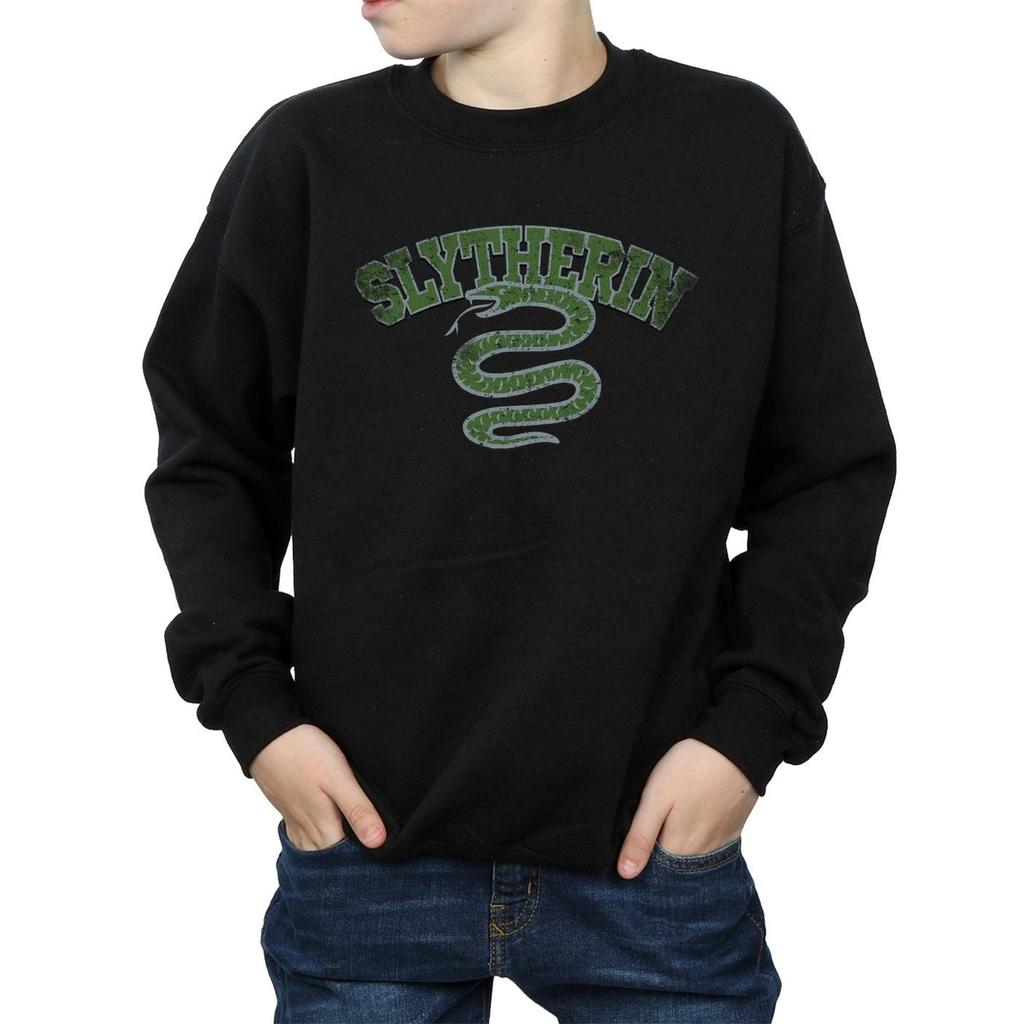 HARRY POTTER Boys Slytherin Sport Emblem Sweatshirt